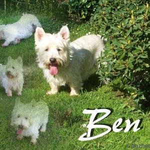 Ben