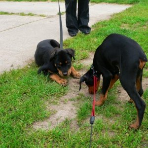 Two Youngsters