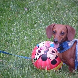 "Abby Playing Soccer"