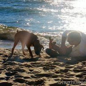 Boxers_at_beach