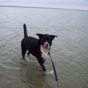 Rookie at the beach