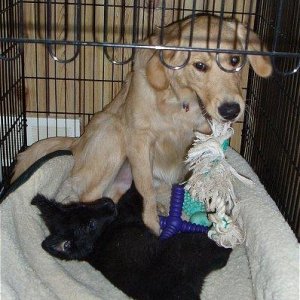 Boys playing in the crate