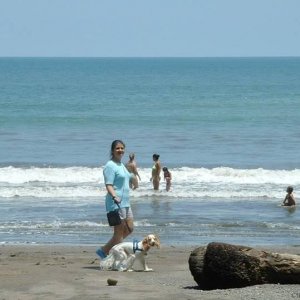 Blondie on Herradura Beach