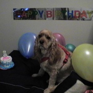 Ruffys 3rd birthday