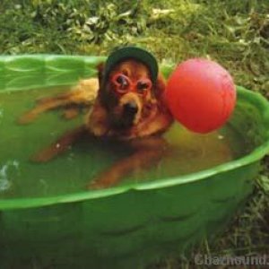 bubbainpool