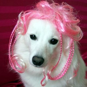 Sascha Bo Peep!