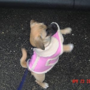 Pink Jacket  her on our bed