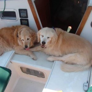 The "Girls" on the Boat