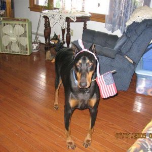 american_dobe