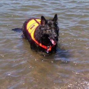 Josie at the river