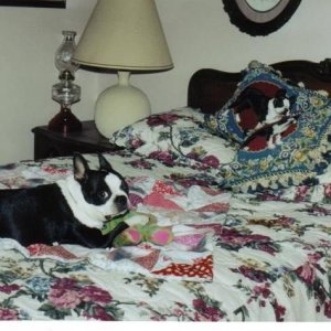 Mitzi's bedroom