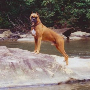 Ike at Tallulah River