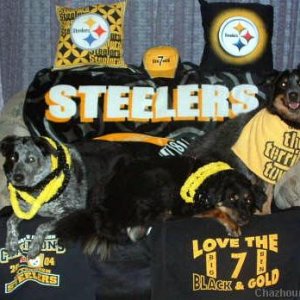 GO STEELERS!