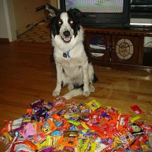 Monty Got Lots of Candy!!