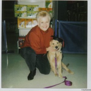 Graduation Day...puppy kindergarten