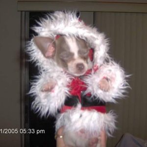 Gatlin in his santa suit!