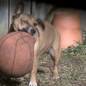 Tia attacking Basketball