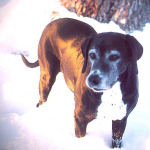 marystandsinsnow_copy