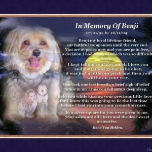 IN MEMORY OF BENJI