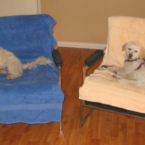 Relaxing on the Chairs