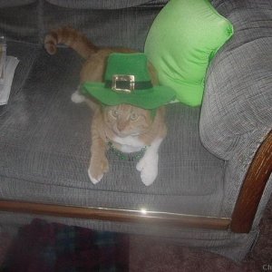 HAPPY ST. PATRICK'S DAY