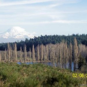 Mt rainier