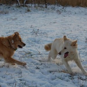 Casey and Shadowfax