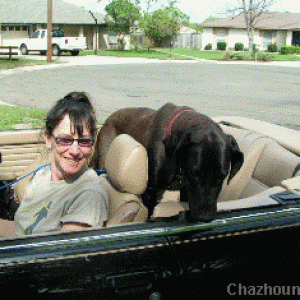 kera_s_first_convertable_ride