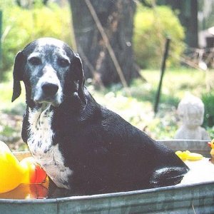 mary_all_sad_in_the_tub