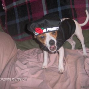 Pebbles and her new hat