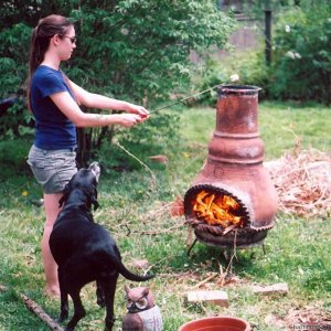 zoom cooks dog and mary loves her