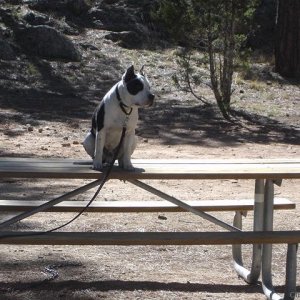 Bored on the bench.