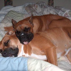 Cody & Sadie after a hard day playing!