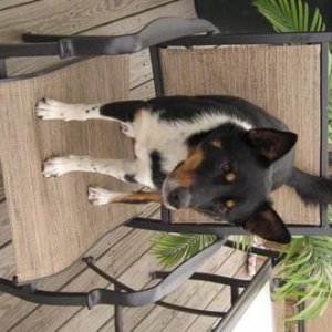 Mason Chillin on the porch