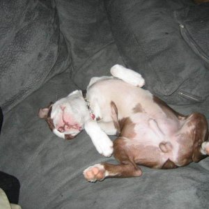 This is the way I like to sleep!!WOW I am silly :)