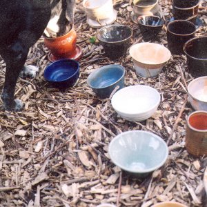 Mary chooses her new food bowl