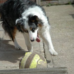 ice playing football