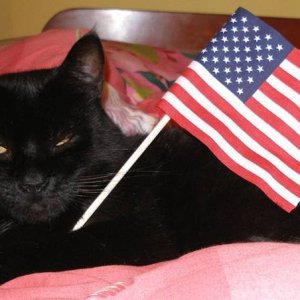 Happy 4th of July!