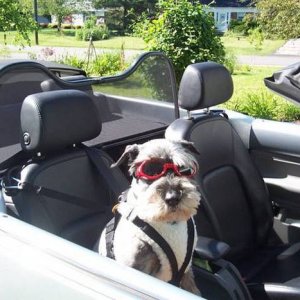 Vinny Harley is Ready to Cruise