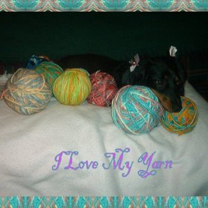 I Love My Yarn