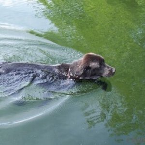 me loves to swim