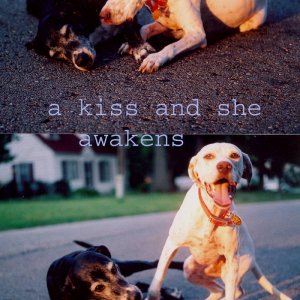 a kiss and the princess awakens