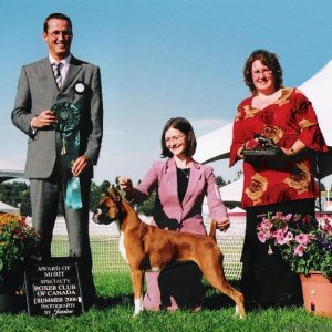 Honey's Award of Merit