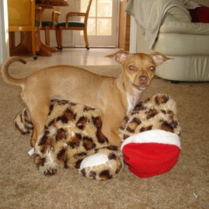 Sage and her boyfriend...the leopard santa.