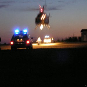 Night training police dogs Czech Rep