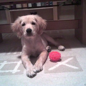 Rahul and his ball