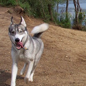 Thor at the Lake