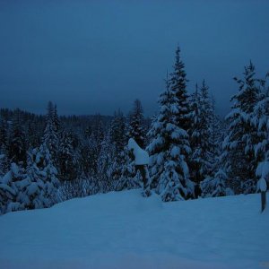 early_morning_snow1
