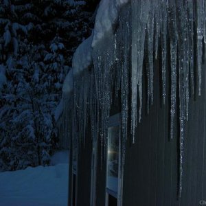 icicles