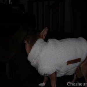 chulita_s_coat_reverable_view_2
